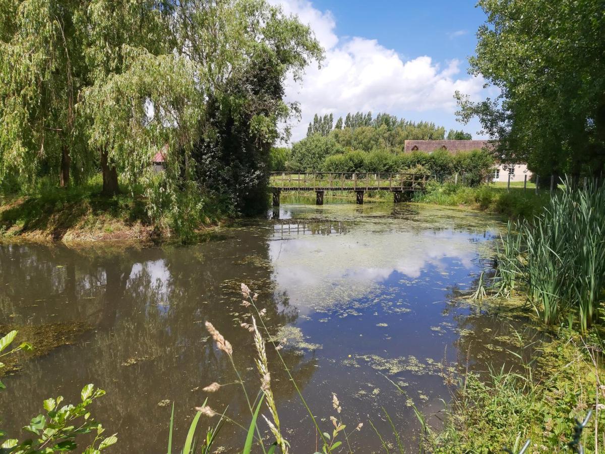 Le Bonheur Des Plumes Bed and Breakfast Montmartin-en-Graignes Εξωτερικό φωτογραφία